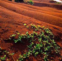 《龙腾世纪：影障守护者》4090可原生4K＆70帧运行